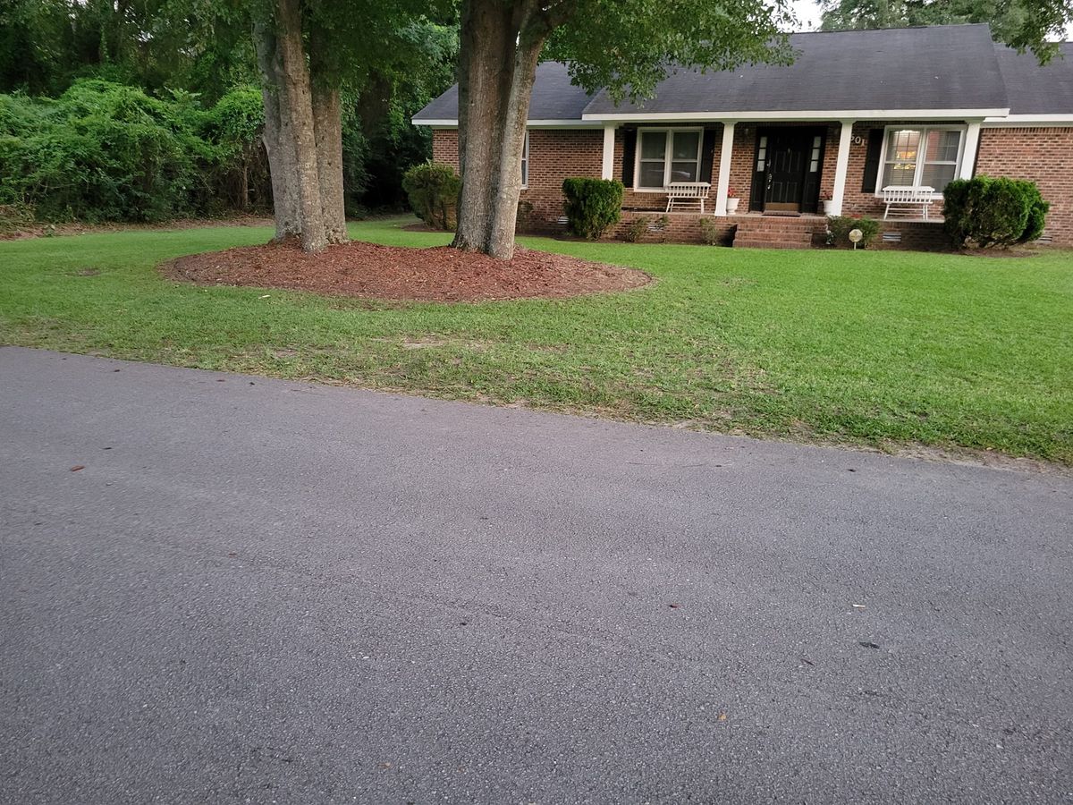 Fall Clean Up for Just Mow and Go Lawn Service in New Bern, NC