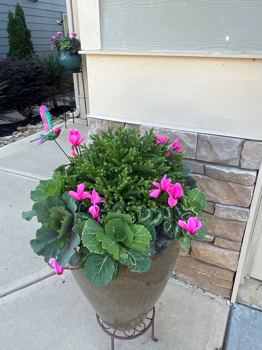 Professional Landscaping Services for New Beginning Landscape & Remodel LLC in Atlanta, GA