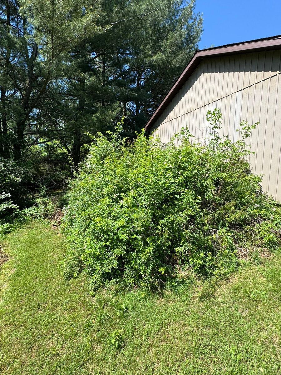 Seasonal Clean Up for Landscape & Lawn Care Pros in Temple, PA