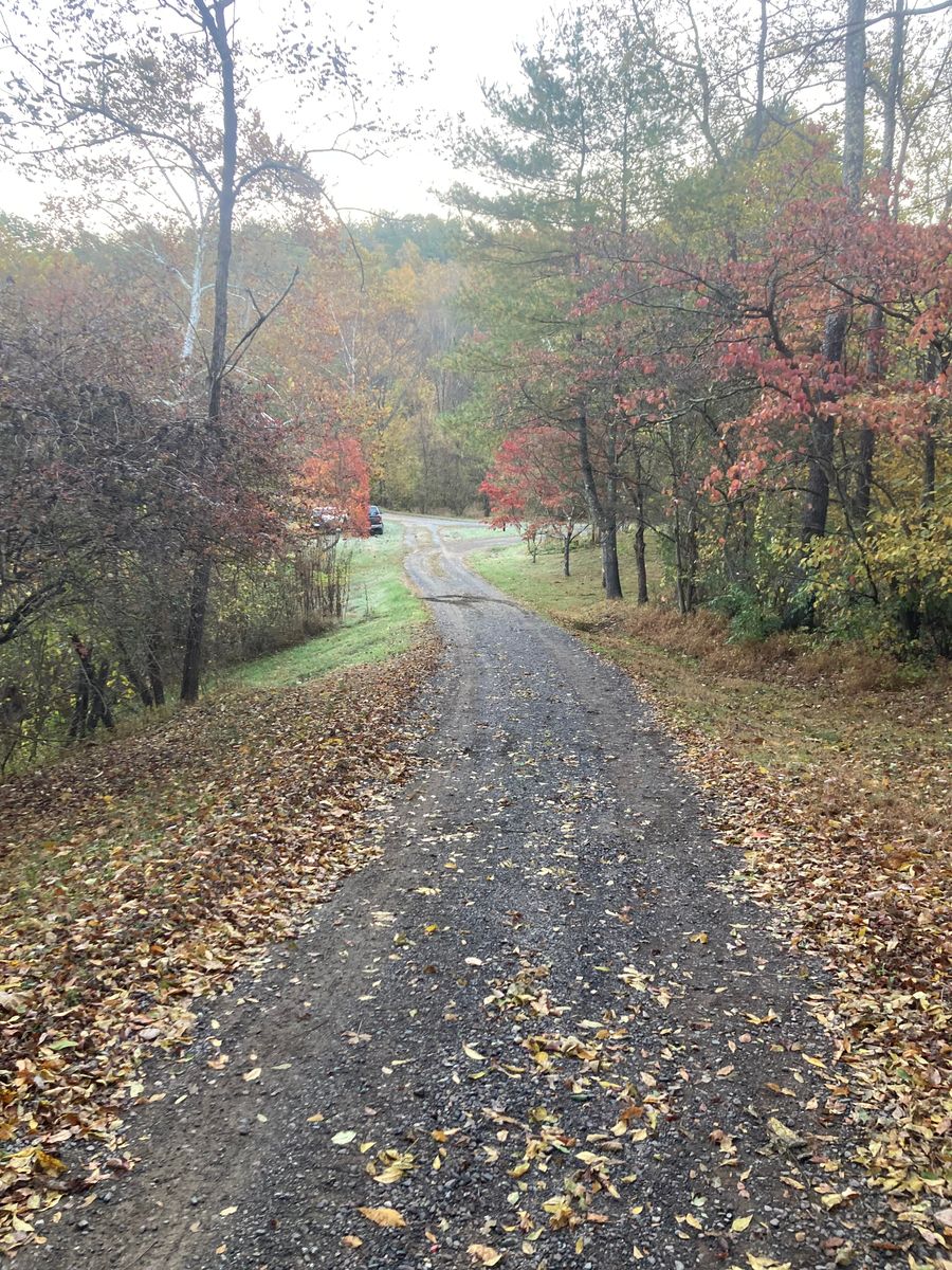 Landscaping for 9999 Building and Renovation LLC in Warrenton, VA