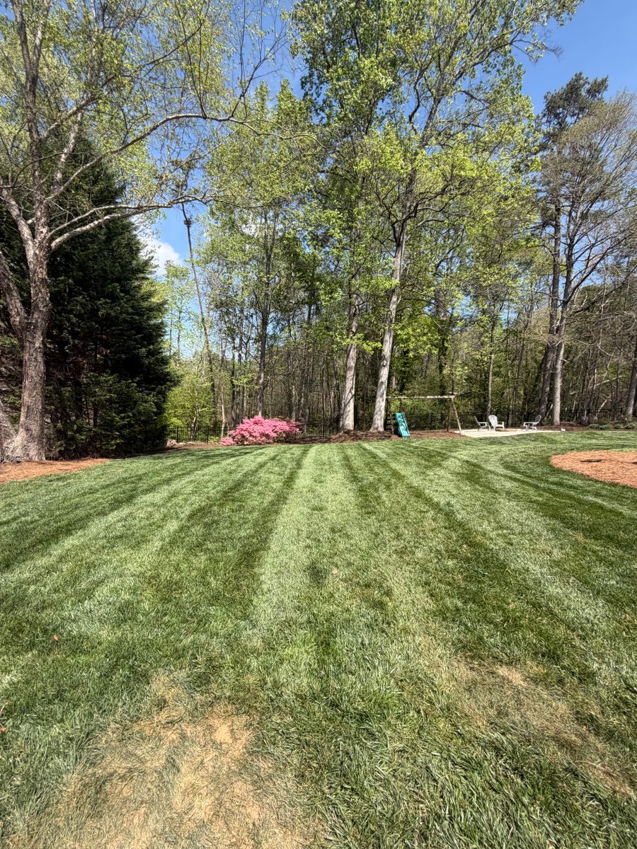 Lawn Mowing for Holloway Yard Company in Winston-Salem, NC