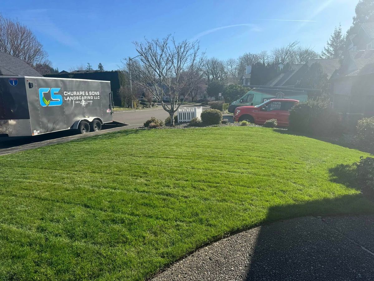 Lawn Aeration for Churape And Son's Landscaping in Vancouver, WA