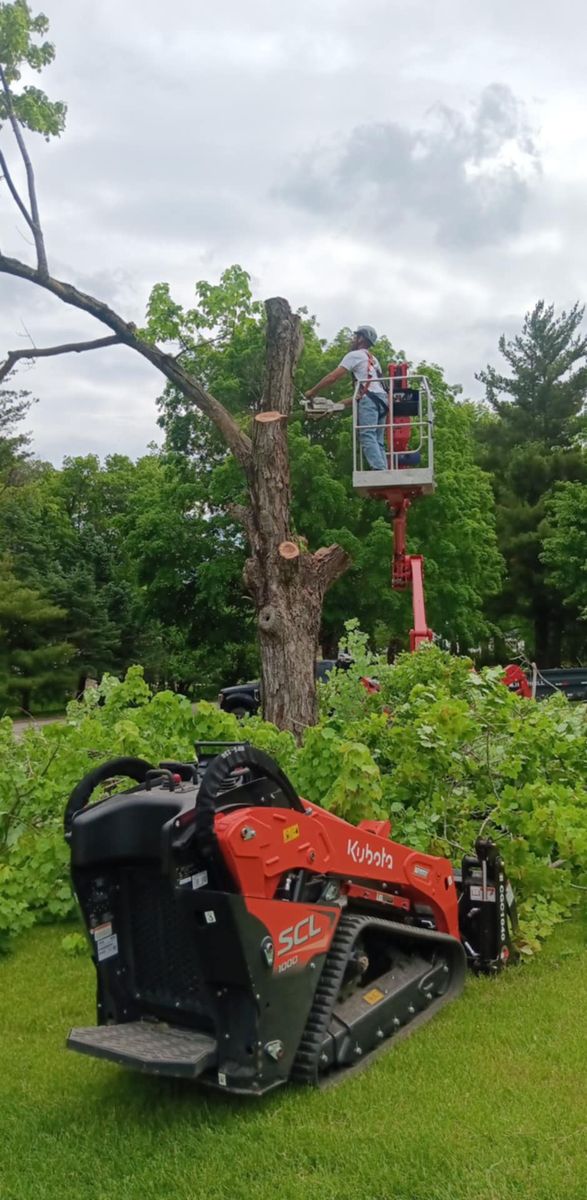 Tree Trimming for Lawn Ranger Yard And Tree Service LLC in Ottumwa, IA