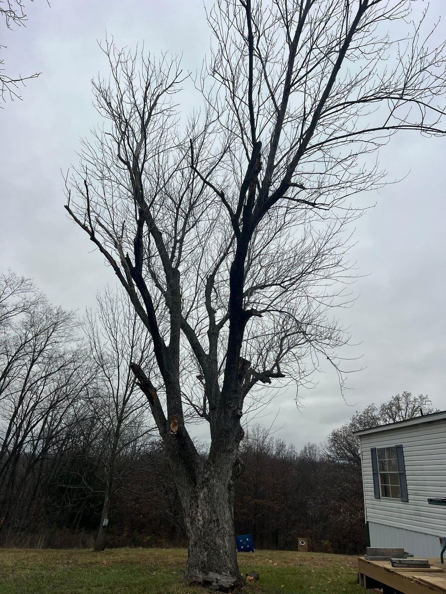 Property Clean Up for Baker Professional Services LLC in Shelbina, MO