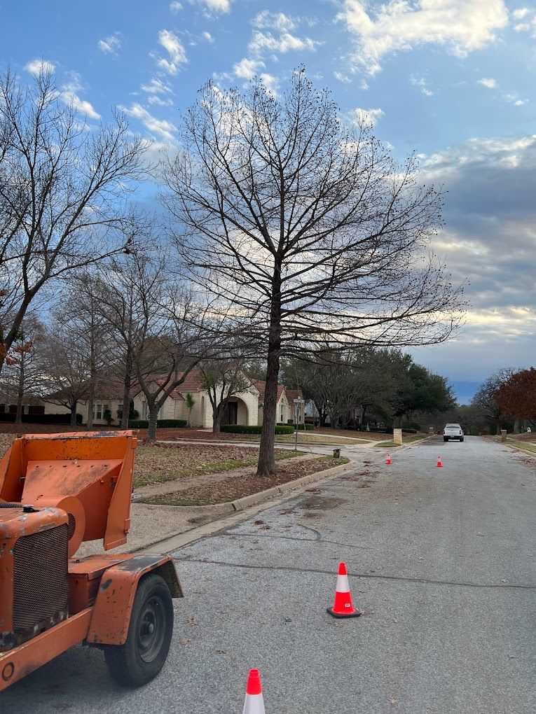 Tree Trimming for Imber’s Tree Service LLC in Arlington, TX