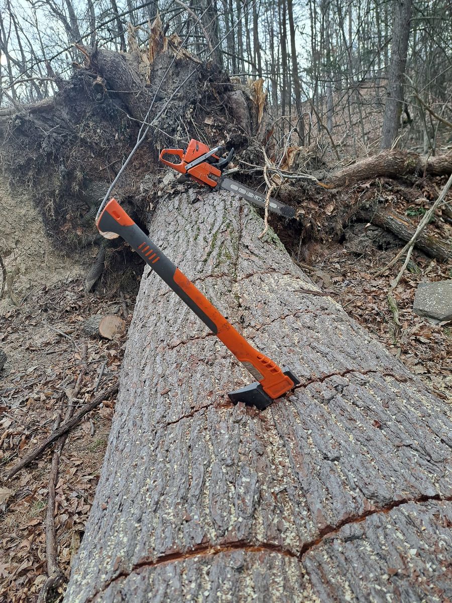 Stump Removal for Beckenbaugh Tree and Lawn Service in Lewistown, PA