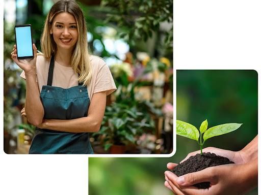 Tree & Shrub Care for Green City Landscape and Lawn Care LLC in Mesquite, TX