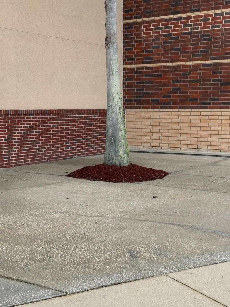 Mulch Installation for Whole 9 Yards Services LLC in Green Cove Springs, FL
