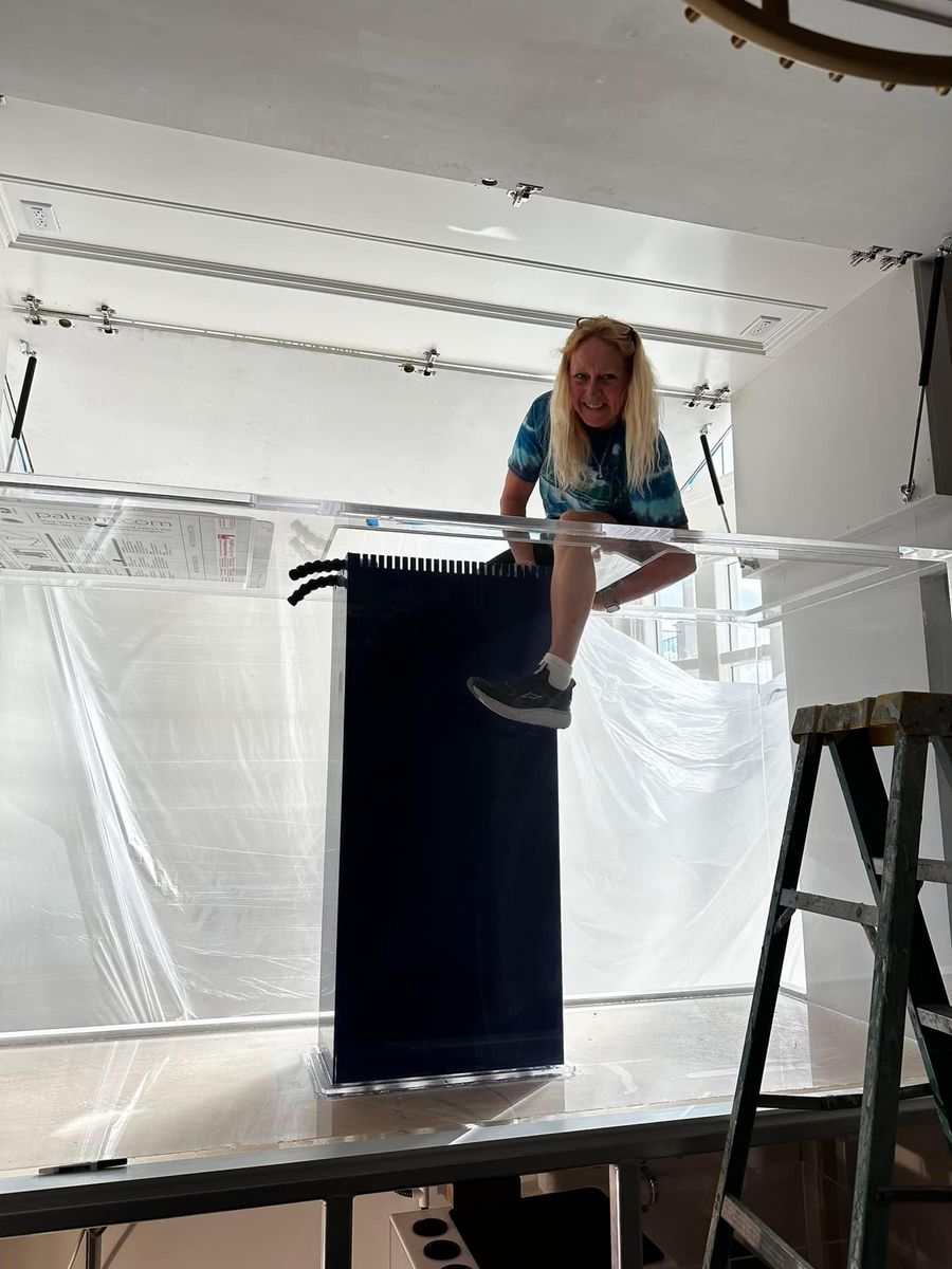 Short & Long-Term Aquarium Care for Aquariums by Sharyn in The State of Florida, FL