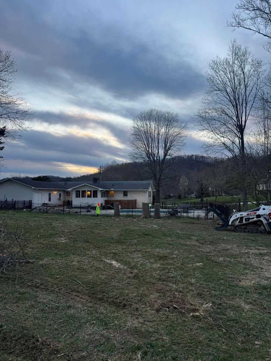 Tree Removal for Complete Care in Cumberland Gap, TN