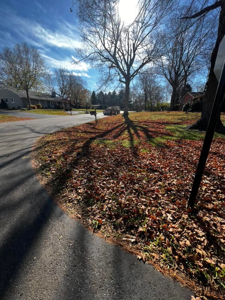 Lawn and Yard Clean Up for The After Effect LLC in Louisville, KY