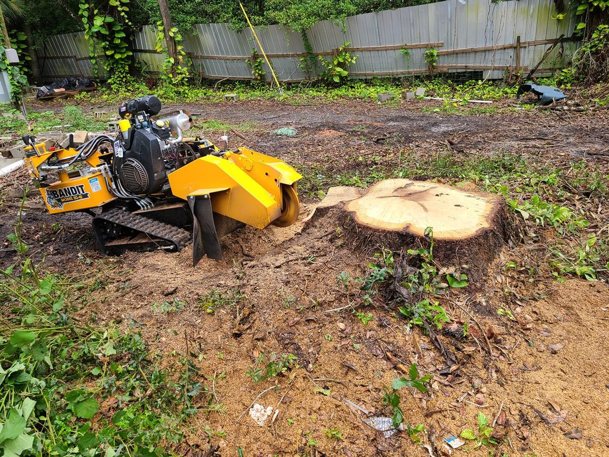 Land Clearing for Ultimate Tree and Landscape Services LLC in Mulberry, FL