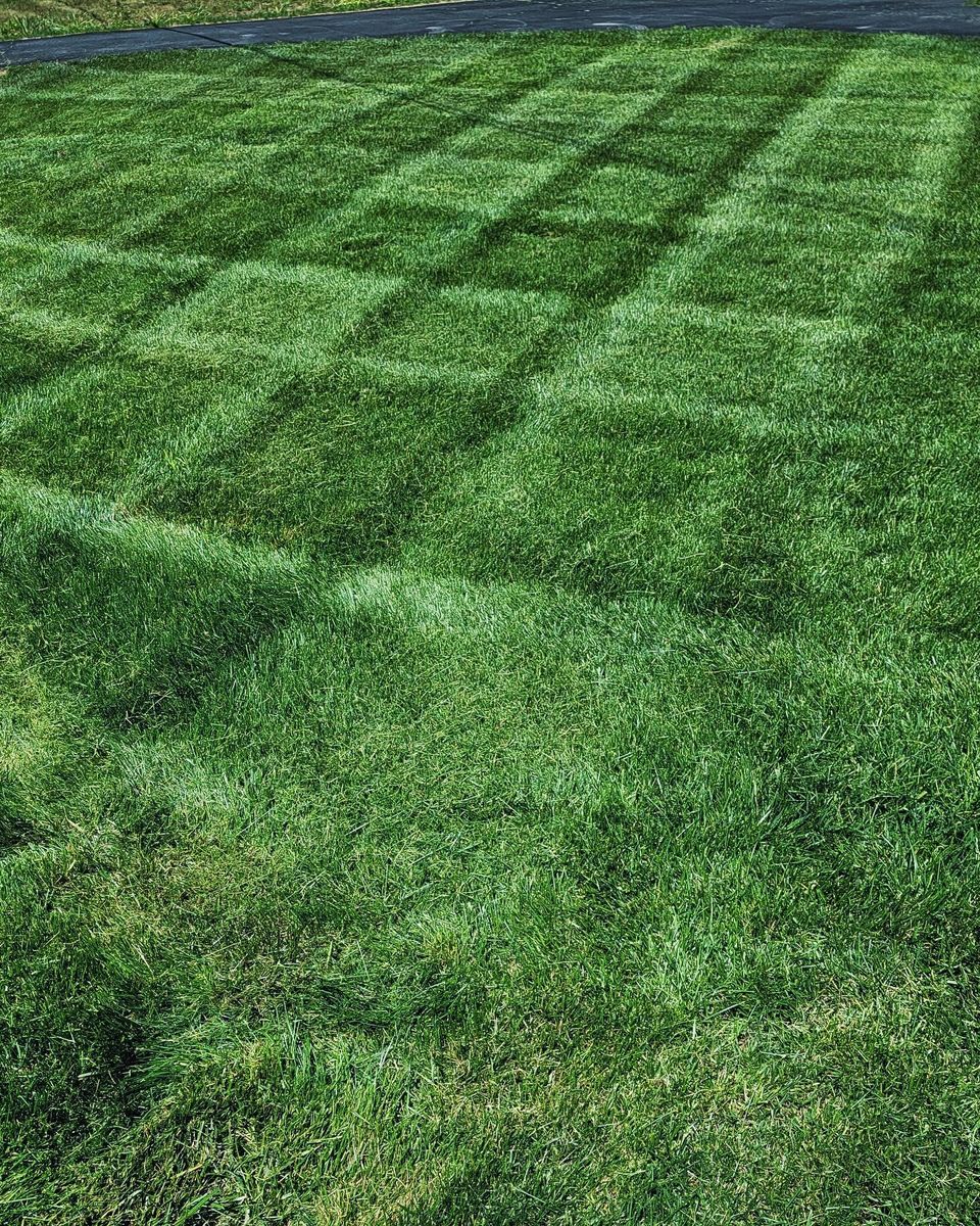 Licensed Commercial Applicator for Piedmont Lawn and Landscaping in Lexington, NC