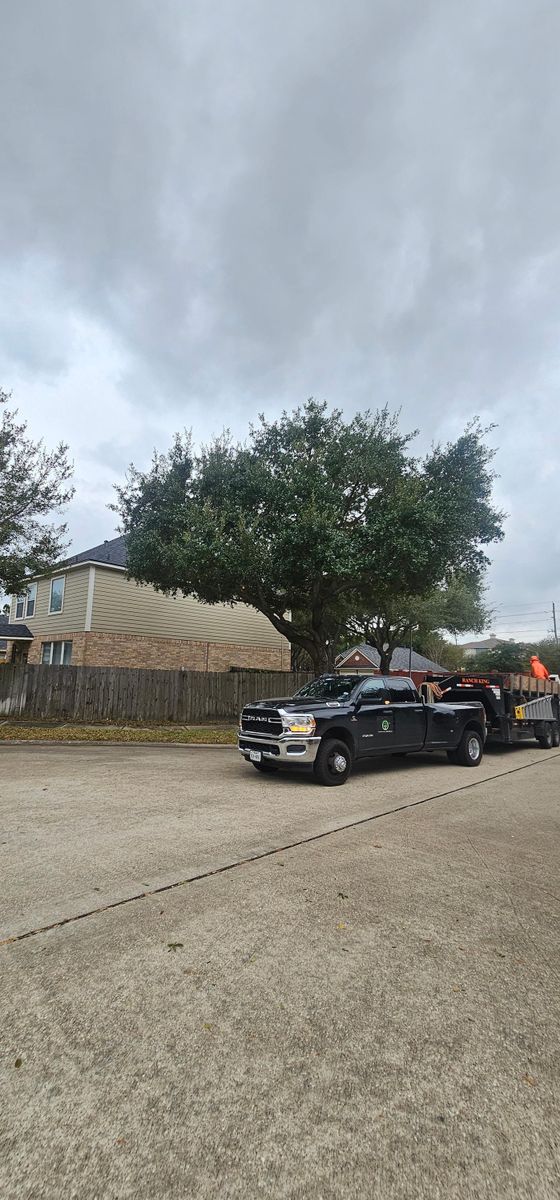 Fall Clean Up for Servin's Tree Care  in Houston, TX