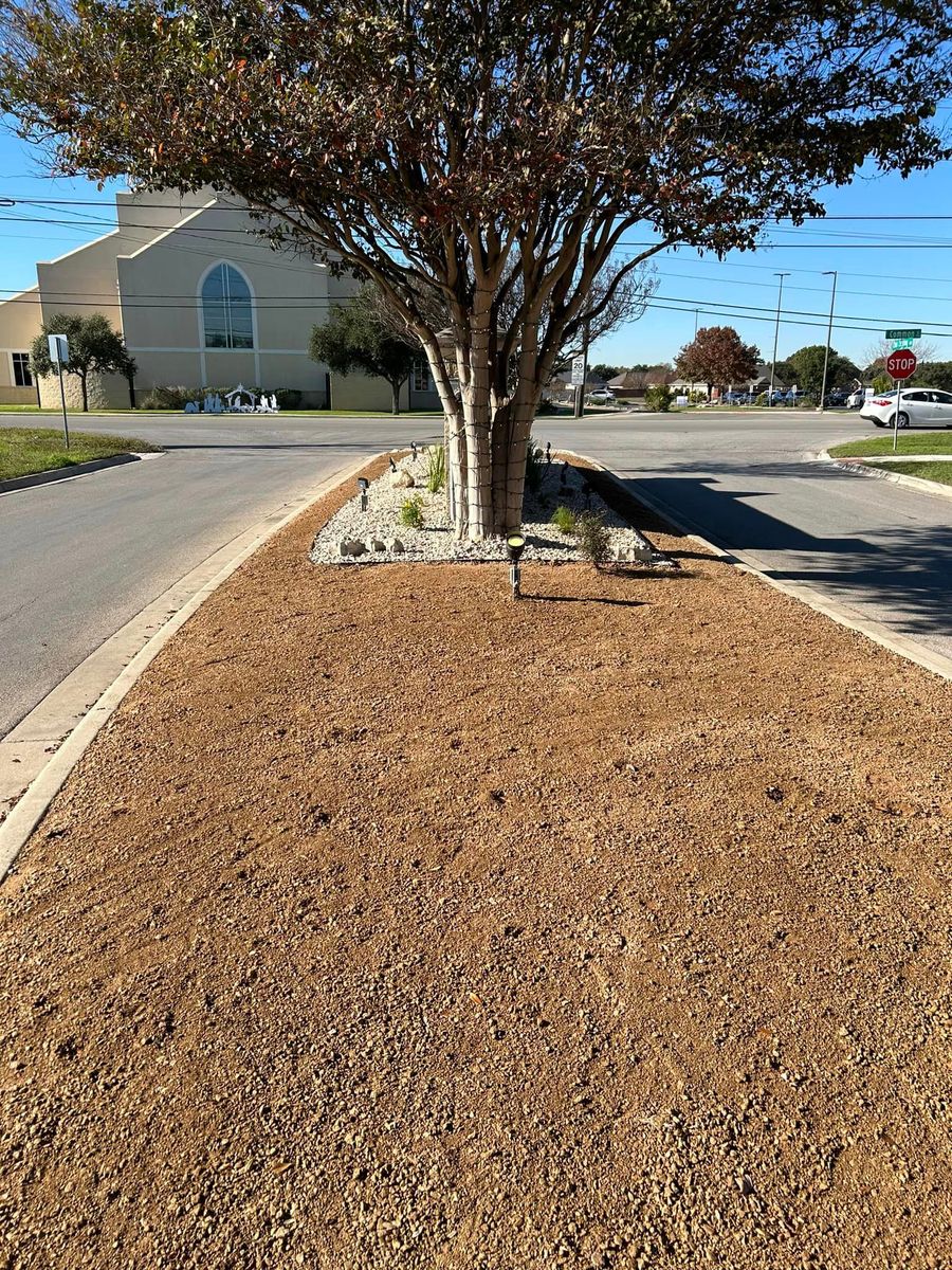 Tree Trimming for C & C Lawn Care and Maintenance in New Braunfels, TX