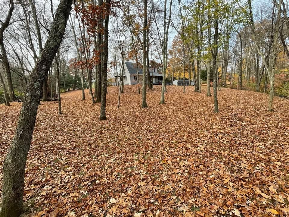 Commercial Work for Navedo’s Lawn Care LLC in Putnam, CT