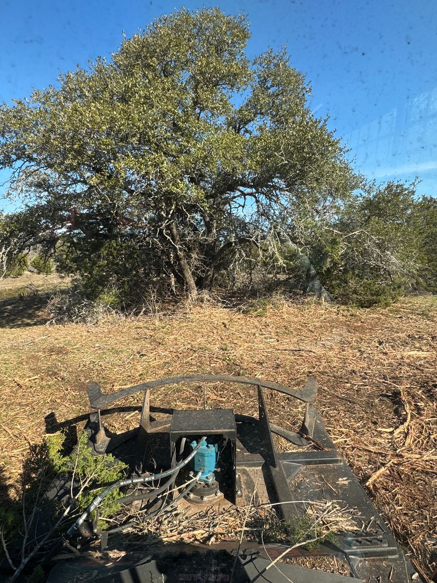 Underbrush Cutting for Marek Land Services in  Austin,  Texas