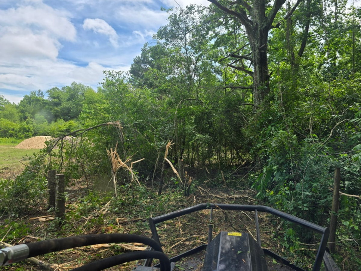 Bush Hogging for Giles Land Management, LLC in Hahira, GA