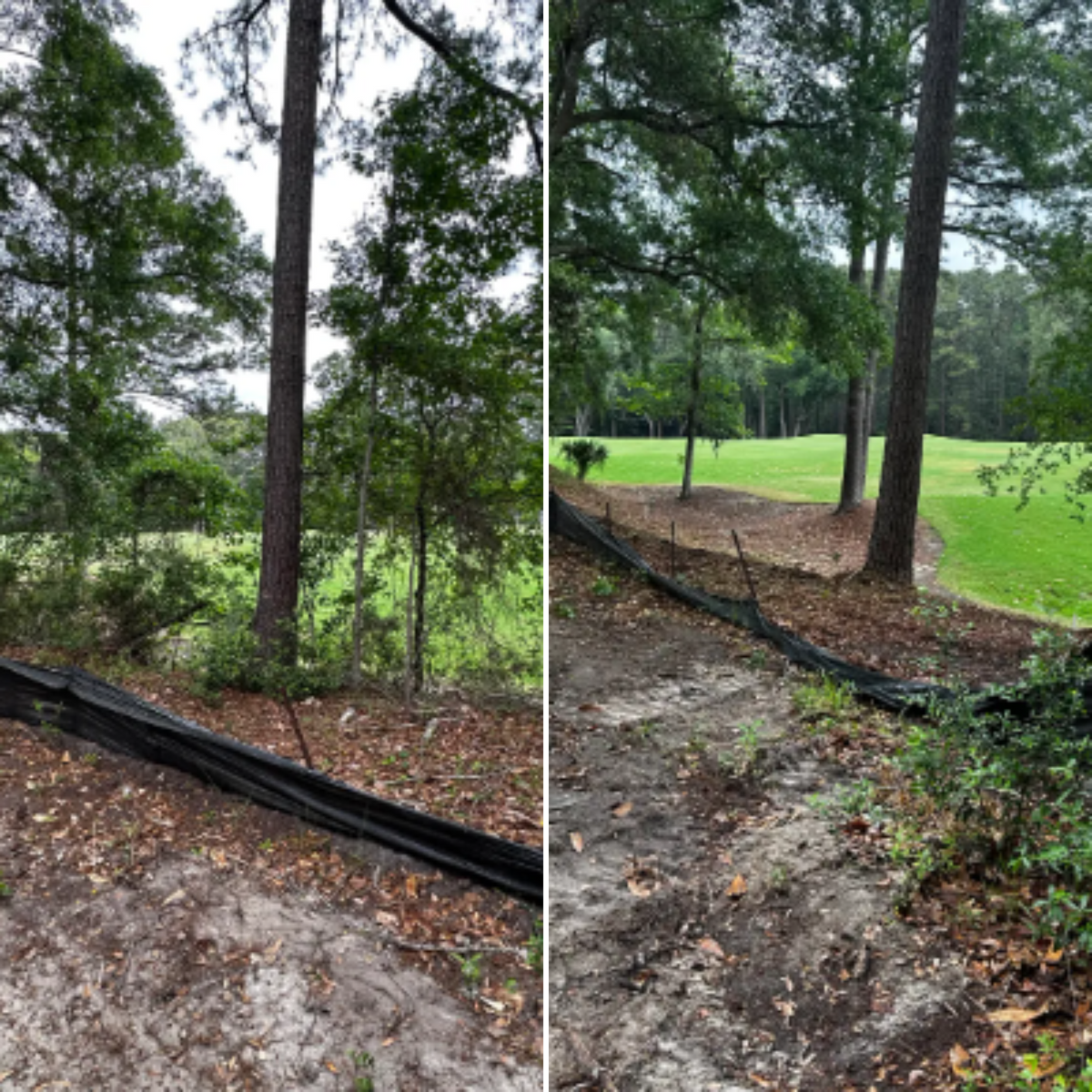 Underbrushing for Iron Industries in Bluffton, SC