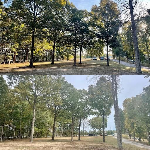 Tree Removal for Ross Family Tree Service LLC  in Hohenwald, TN