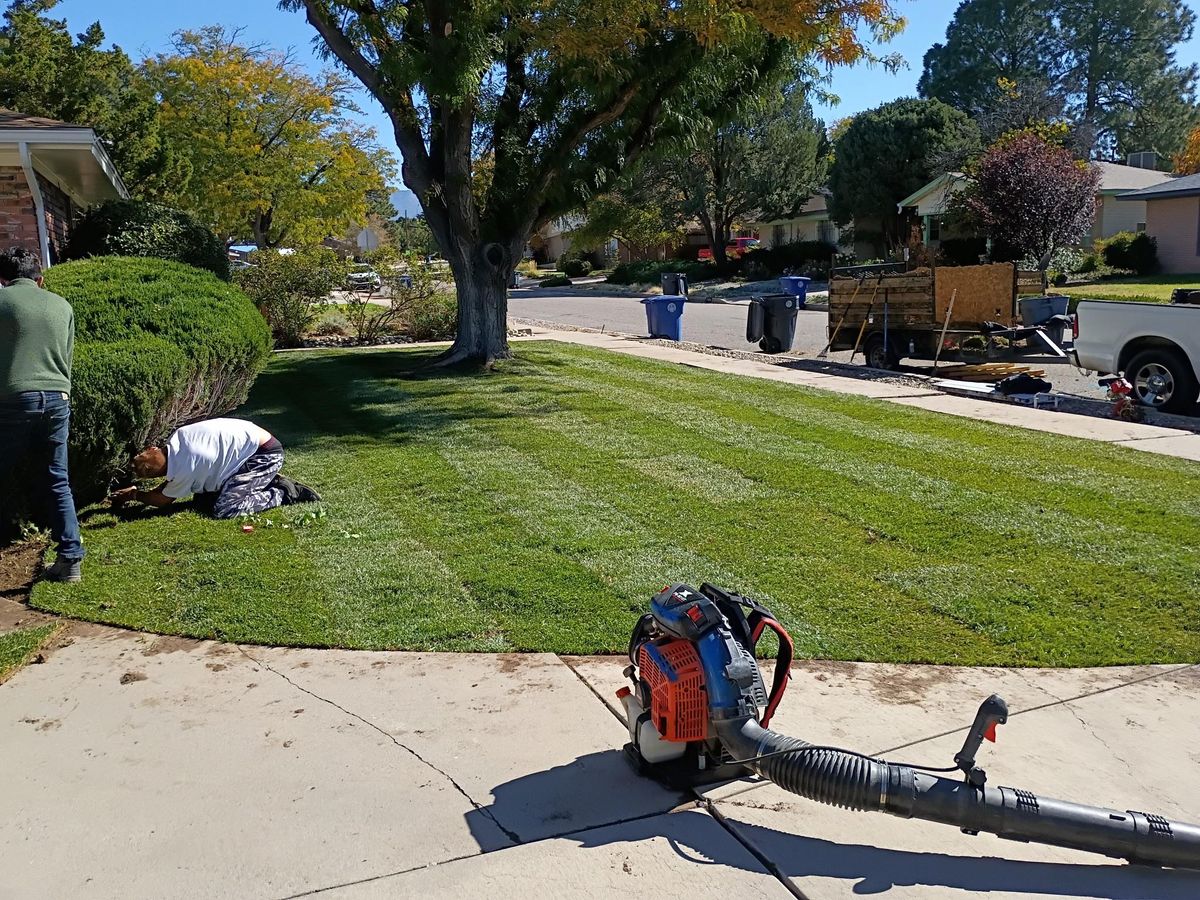Residential Lawn Maintenance for 2 Brothers Landscaping in Albuquerque, NM