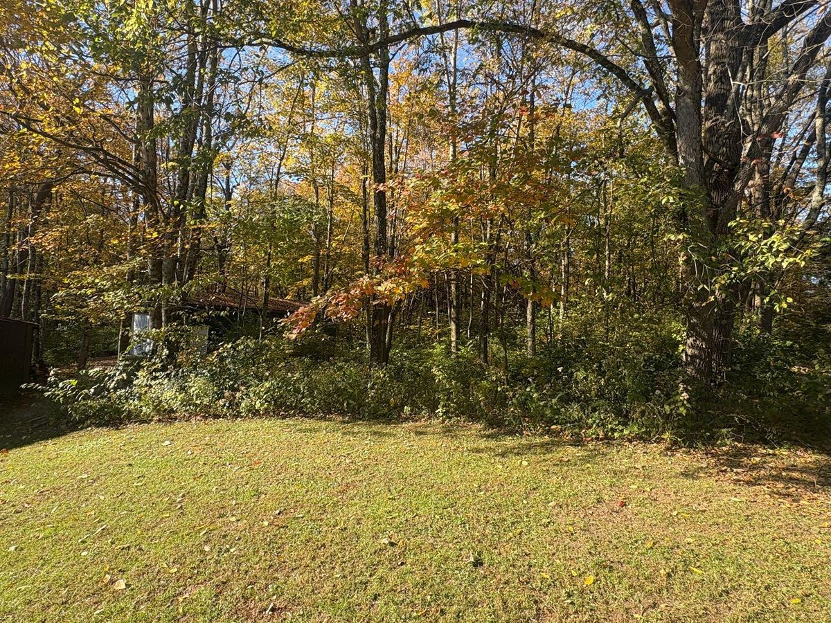 Tree Trimming for Dig-It Tree Company in Mason, OH