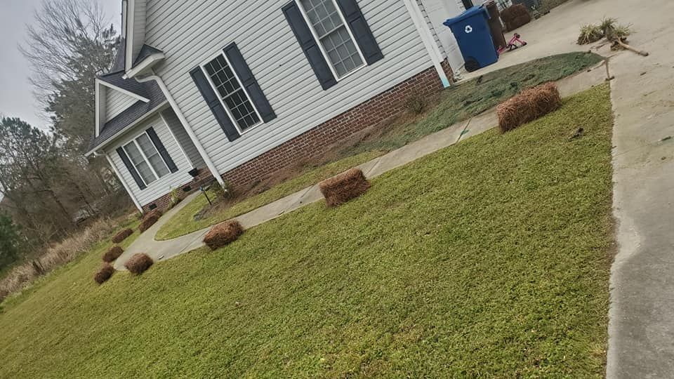 Lawn Aeration for Mack Lawn Services  in Waterloo, SC