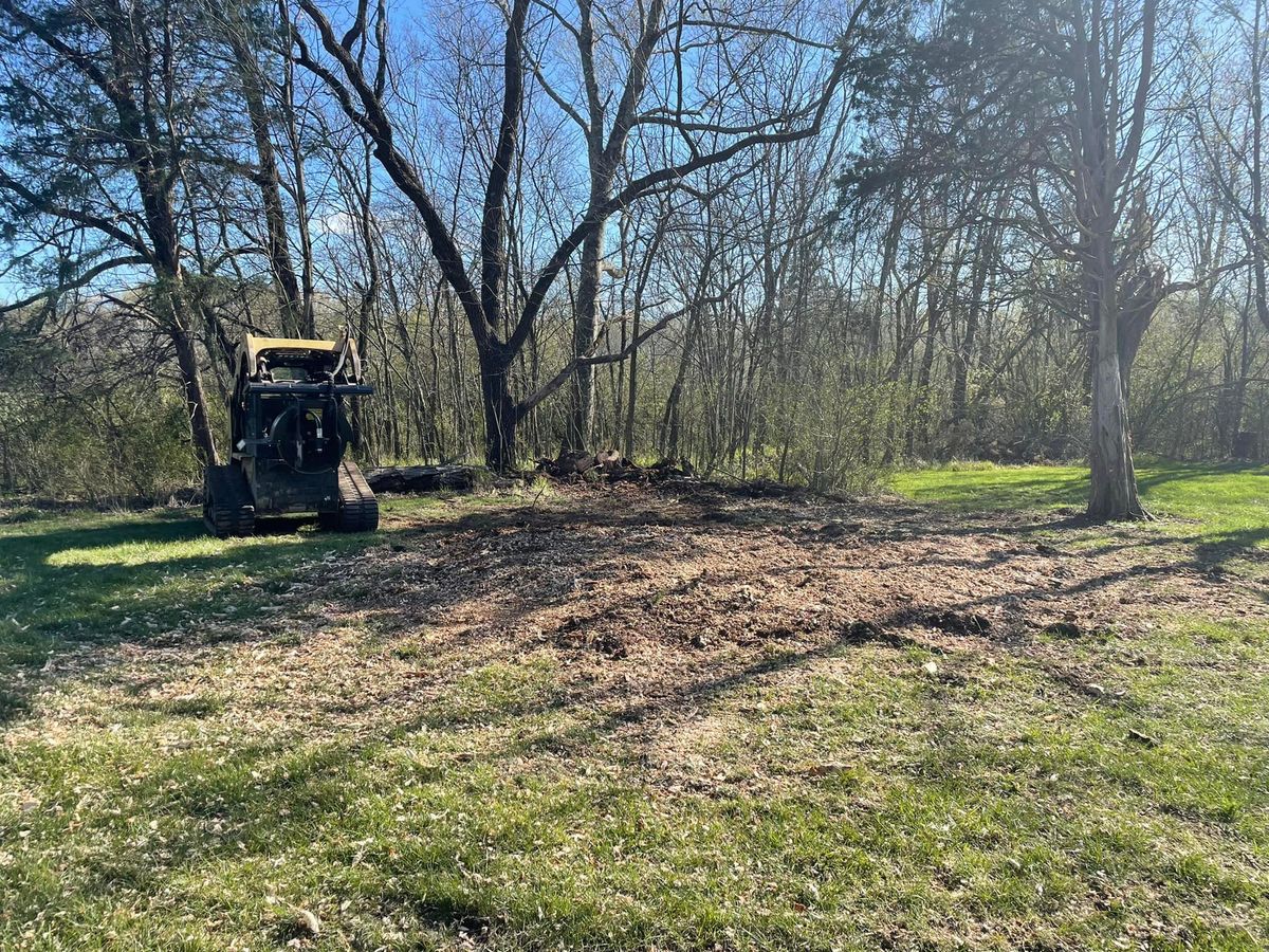 Stump Grinding for Cedar Point Land Management in Richmond, VA