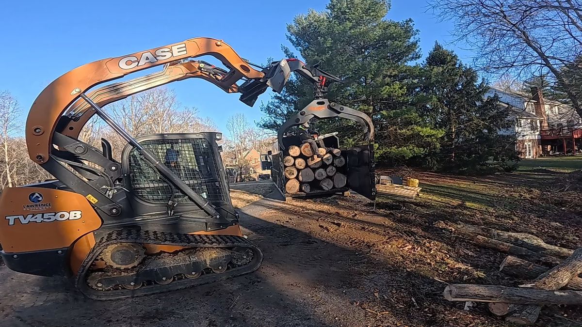 Tree Removal for Empire Tree Services in Mechanicsville, MD