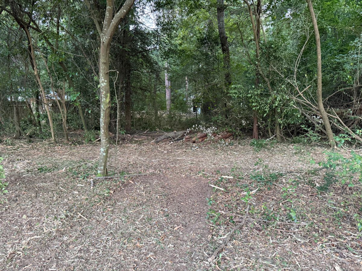 Tree Removal for T N L - Tree and Land Service in Reynolds, GA