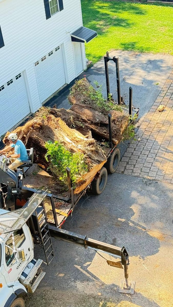 Tree Removal for Owens Tree Services in Inman, SC