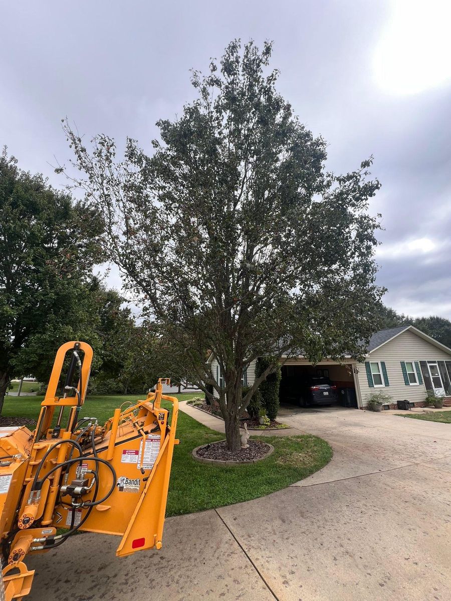 Tree Trimming for Brooks Tree Service, LLC in Casar, NC