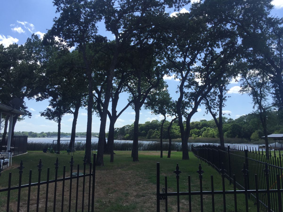 Arborist Evaluations for Classic cut tree trimming and removal in Arlington, TX