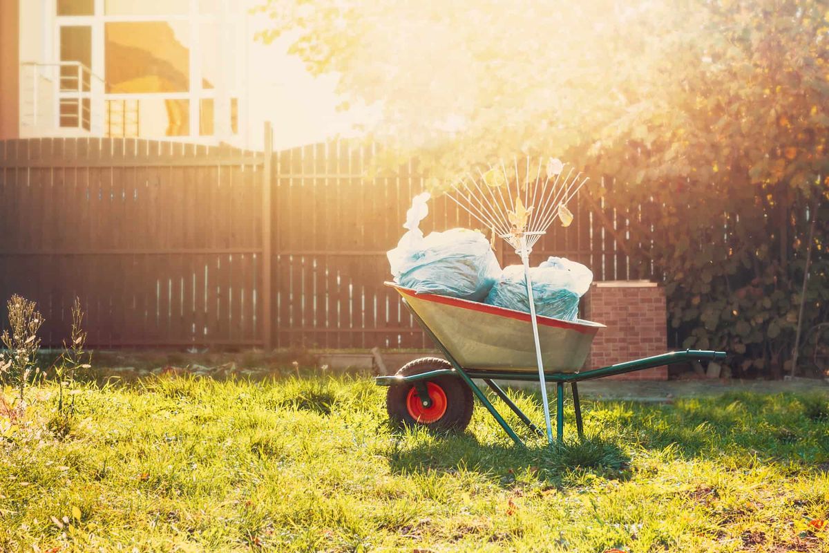 Fall and Spring Clean Up for Randall Gary’s Tree Service in Big Sandy, TX