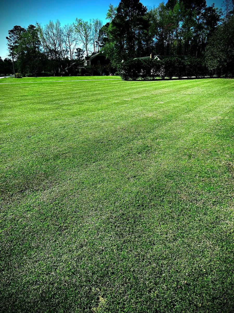 Lawn Aeration for Linhale Landscaping & Lawn Care in Florence, SC