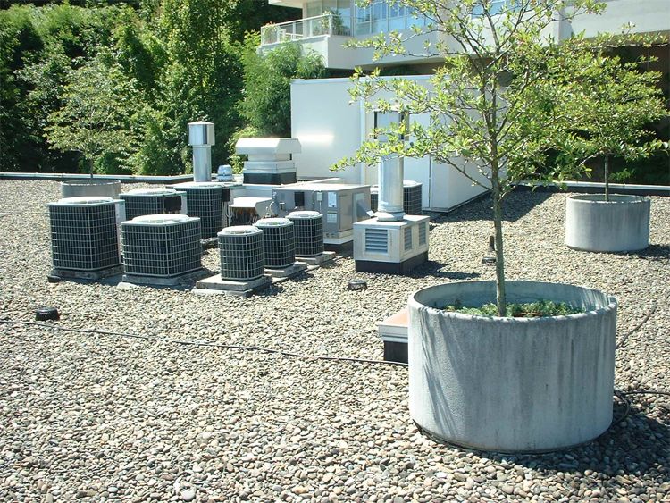 Garden Roofs for Anderson Roofing in Portland, OR