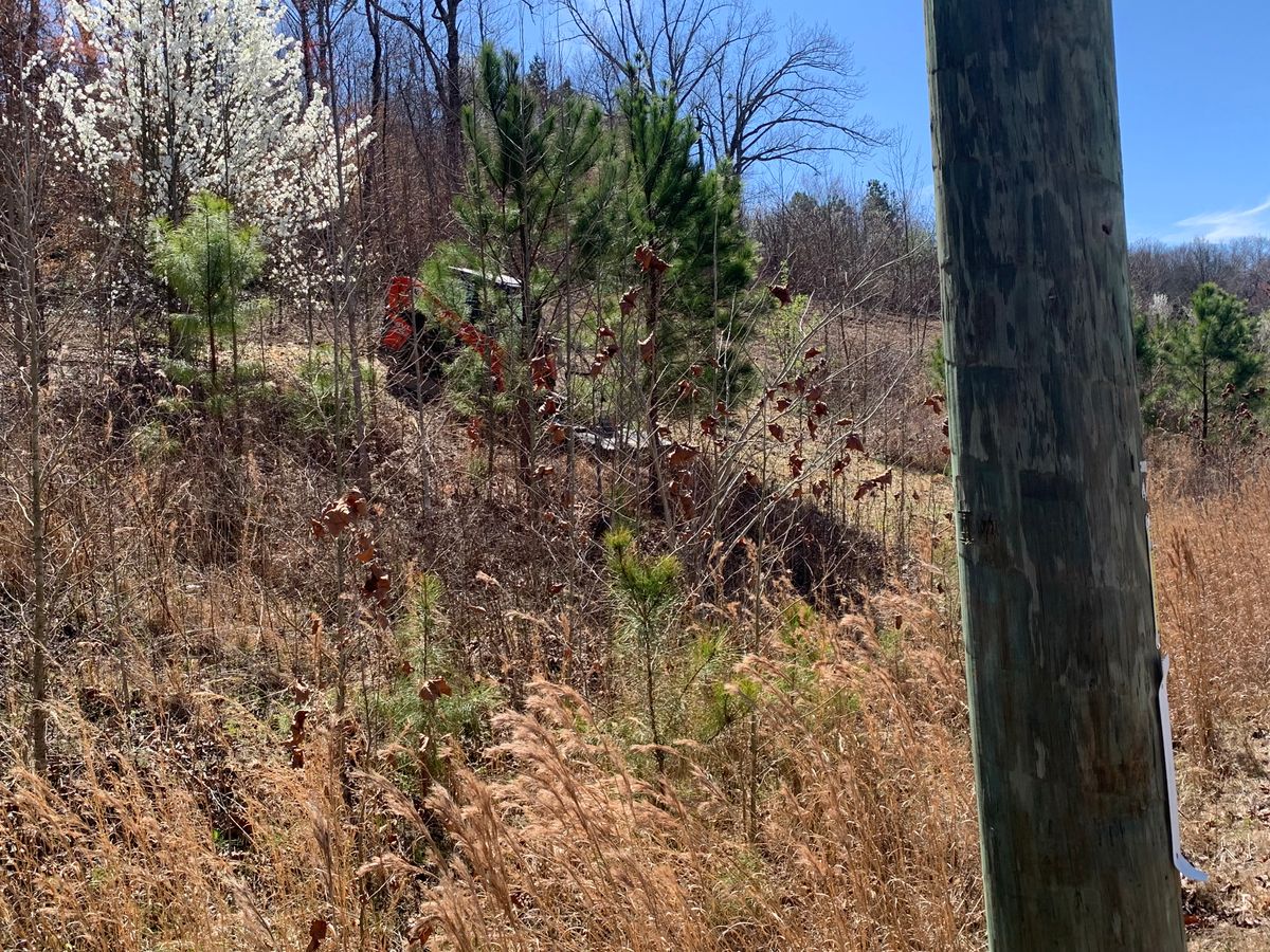 Land Clearing & Demolition for J.P Landscaping and excavation in Chattanooga, TN