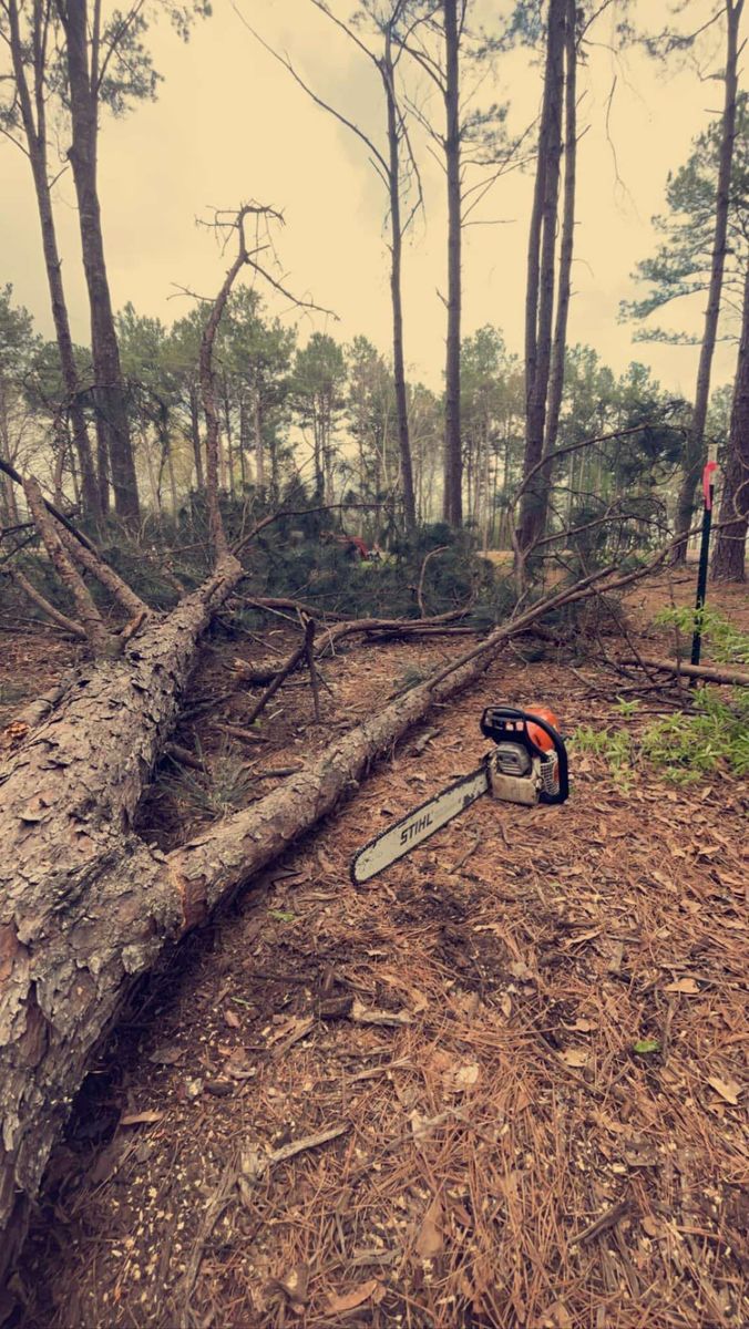 Tree Removal for H3 Land Management in Centerville, TX