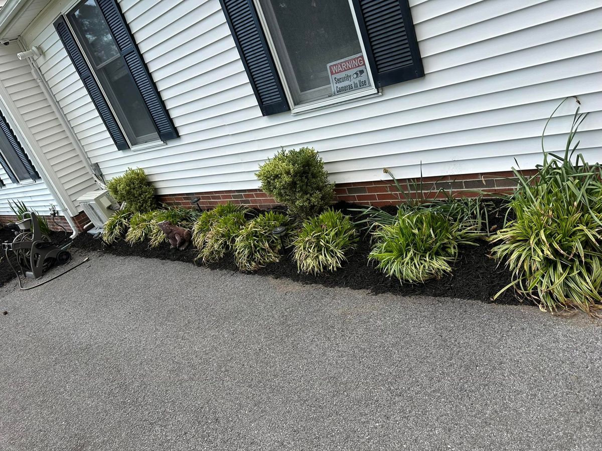 Shrub Trimming for Alex’s Grass Care in Salisbury, MD