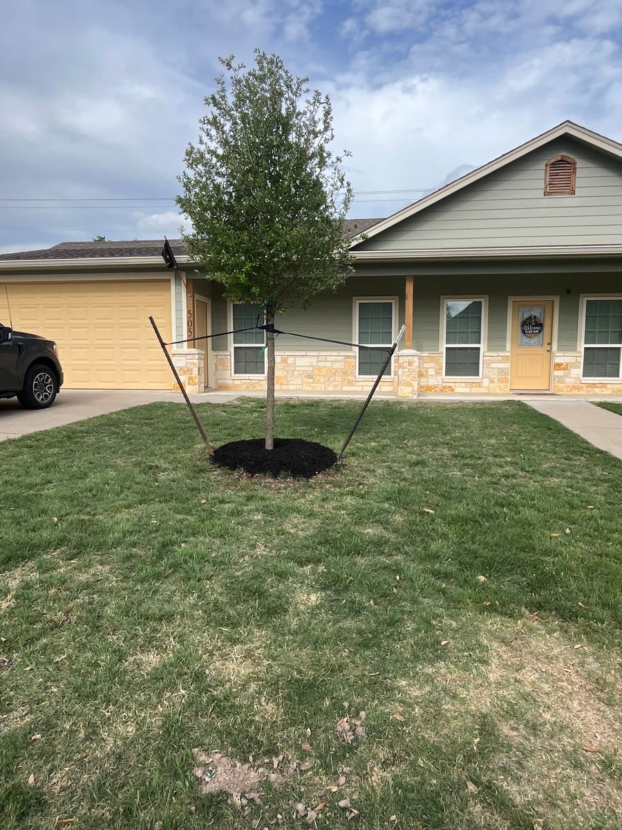 Mulch Installation for Piña’s Lawncare in Limestone County, TX