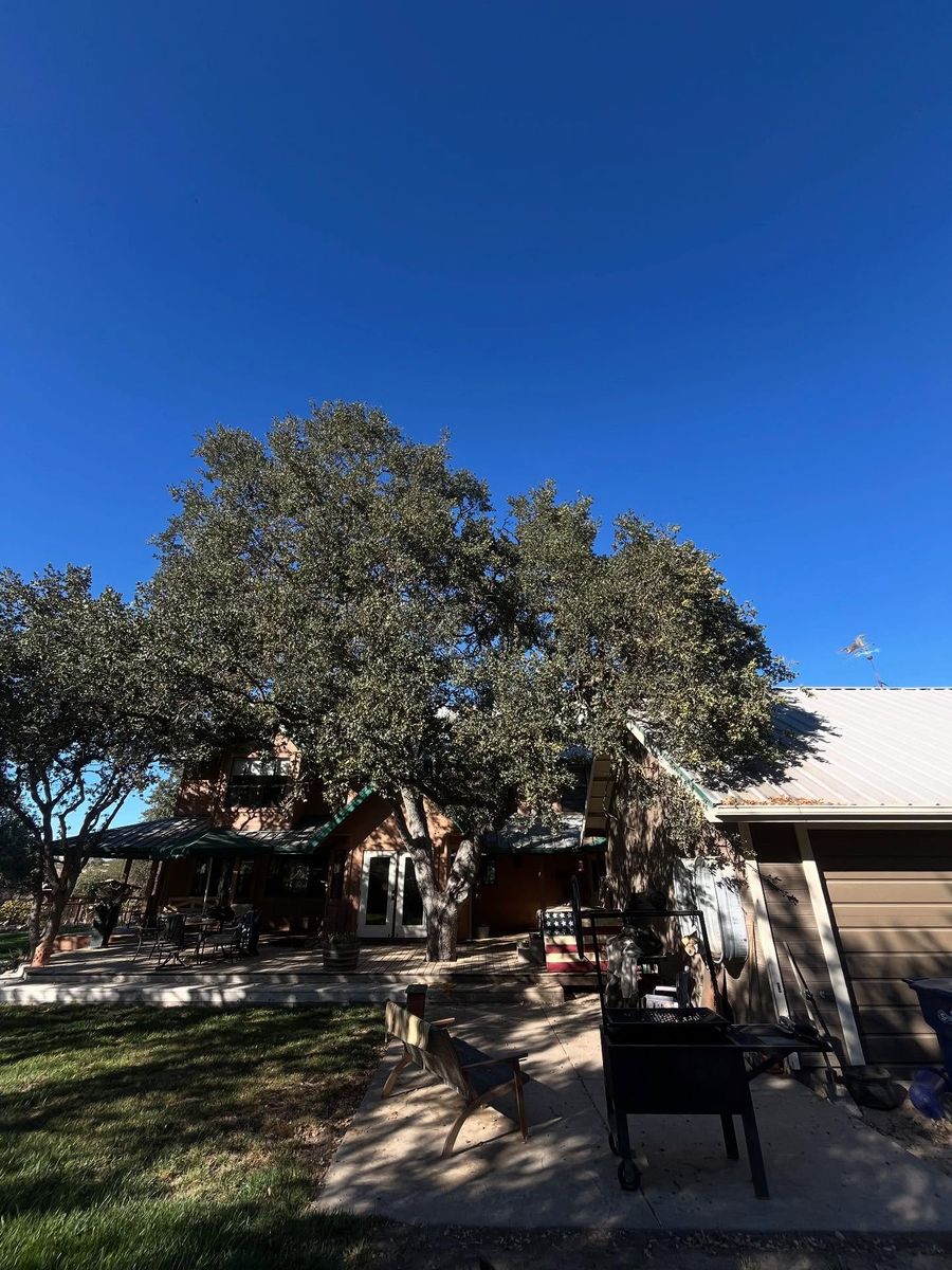 Tree Removal for A1 Junk & Tree Solutions, LLC in Paso Robles, CA