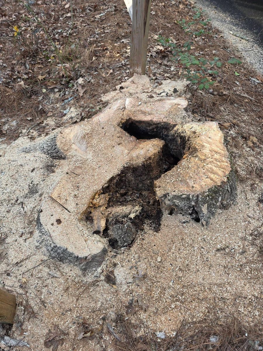 Stump Removal for Bobcat Bob in Clermont, GA