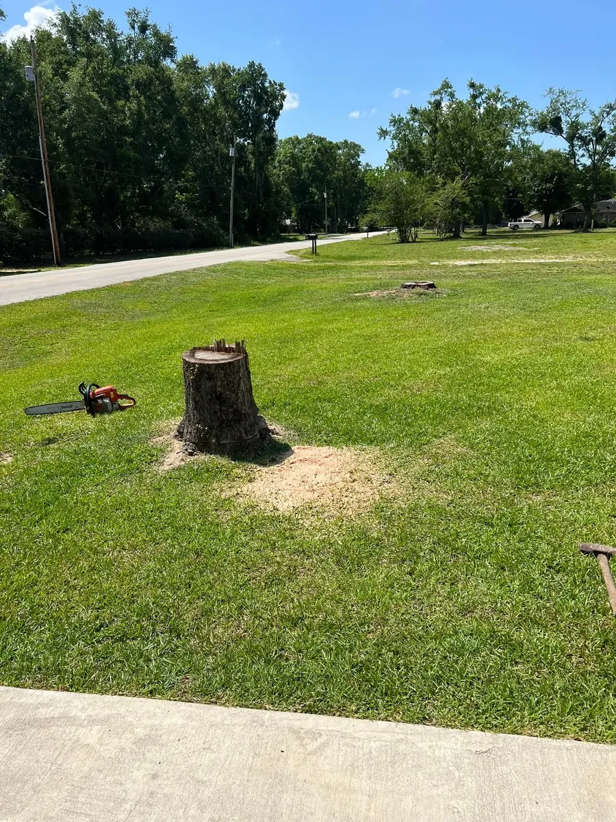 Stump Grinding for Southern Venom Services in Daphne, AL