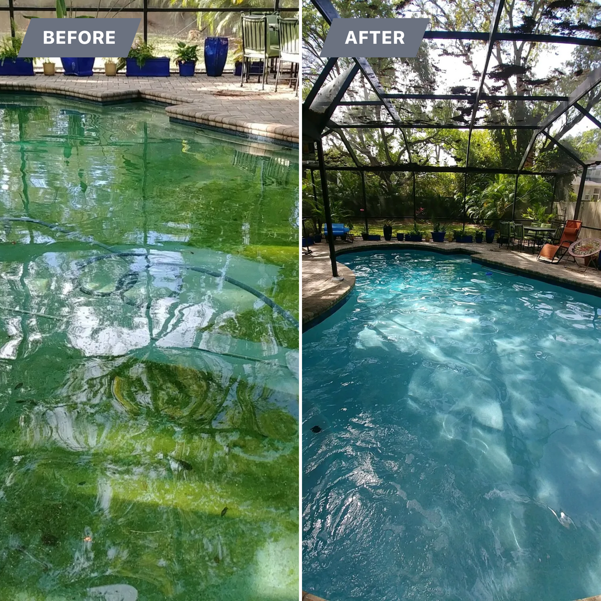 Pool Cleanups for Blue Bay Pools in Tampa, FL