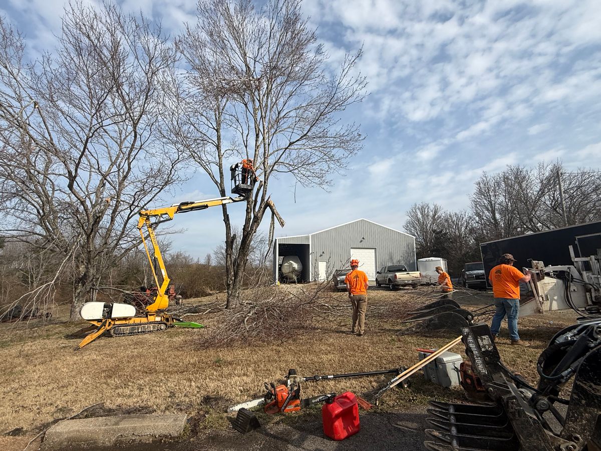 Tree Removal for Ross Family Tree Service LLC  in Hohenwald, TN