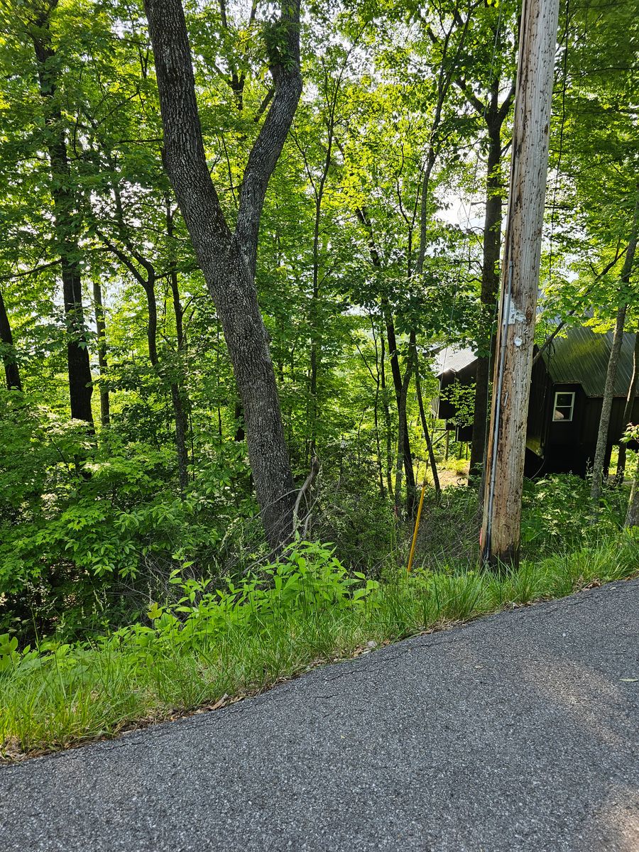 Land Clearing & Demolition for Walker Excavation in Tazewell, TN