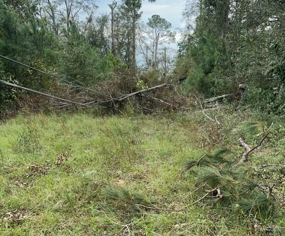 Forestry Mulching for C&C Excavating in Live Oak, FL