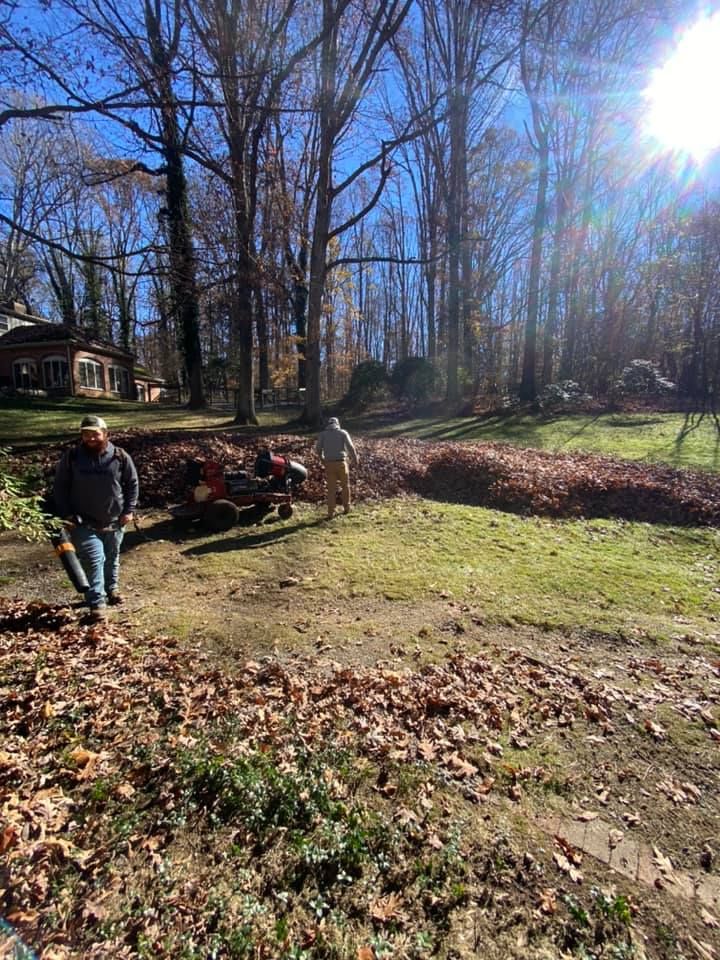 Fall Clean Up for Everything Outdoors in Abingdon, VA