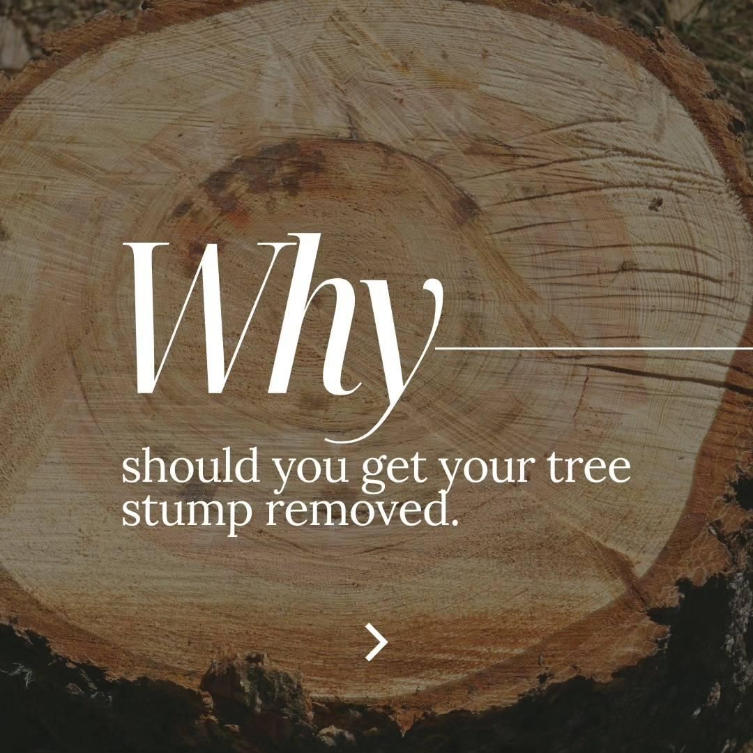 Stump Removal for Oakwood Tree Removal LLC in Oak Creek,  WI