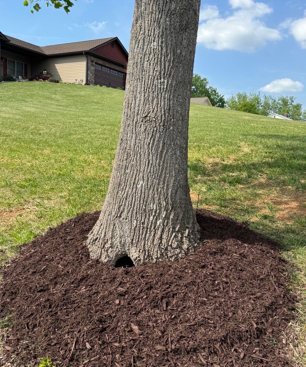 Lawn Maintenance for Legends Lawn Care in Johnson City, TN